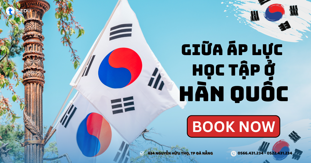 Giữa áp lực học tập ở Hàn Quốc, làm sao để du học sinh vẫn giữ được cân bằng và năng lượng tích cực?