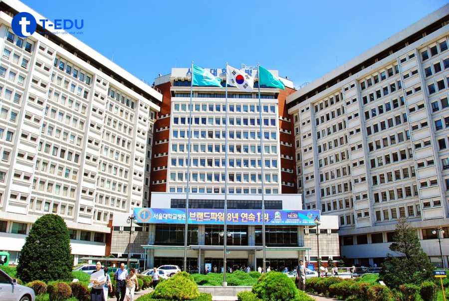 Hồ sơ du học Hàn Quốc