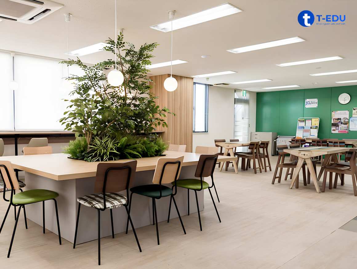 Top trường nhật ngữ giá rẻ
